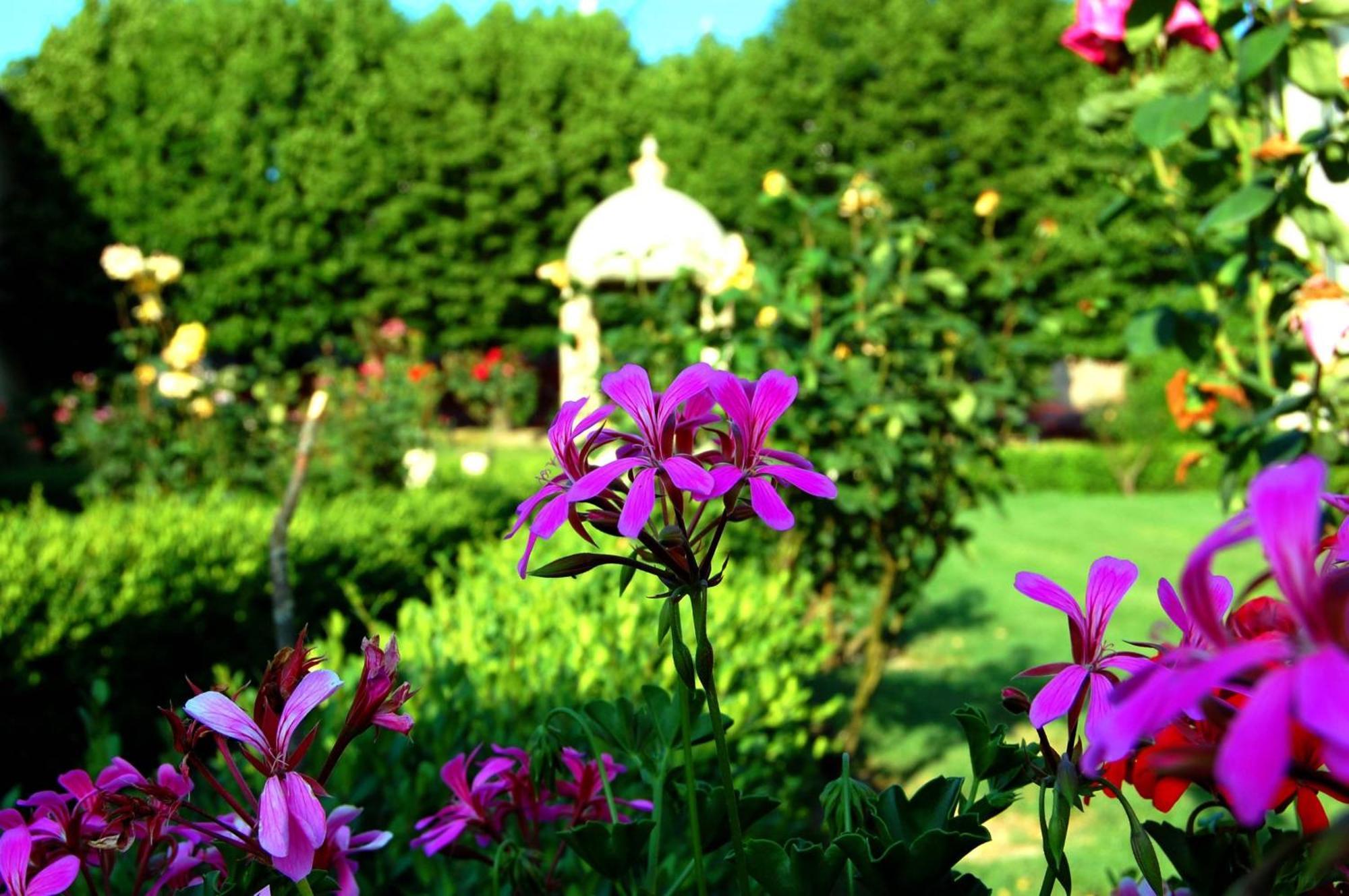 Hotel Villa San Donino Читта-ді-Кастелло Екстер'єр фото